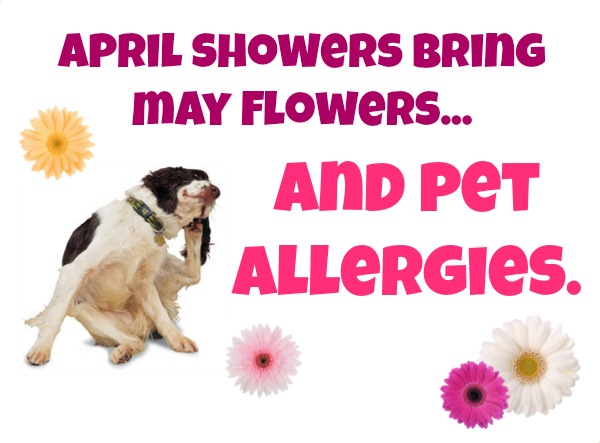 allergies logo